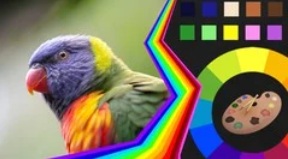 Lecture Thumbnail