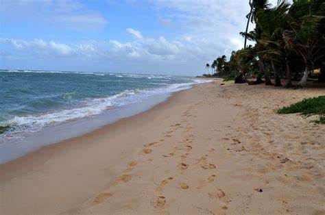 Goa Beyond Beaches: Discover Hidden Islands, Art Cafes and the Soulful Side of India’s Coastal Wonderland You’ve Never Seen