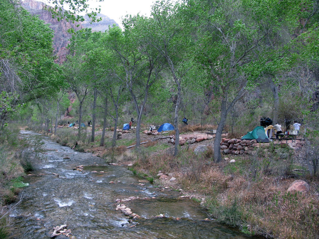 Camping by Tirthan River: A Tranquil Himalayan Escape with Bonfires, Wooden Cabins, Forest Trails, Trout Fishing, Starry Nights, and the Whispering Flow of Nature’s Secret Hideaway